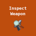 Inspect Weapon