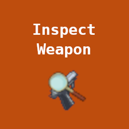 Inspect Weapon