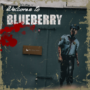 Blueberry 蓝莓镇