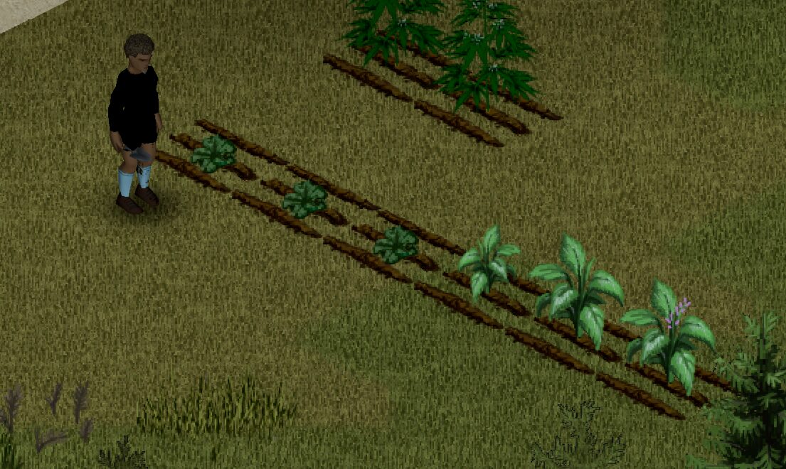 jigga’s Green Fire (Build 40 & Build 41+ MP/Solo) — screenshot 2