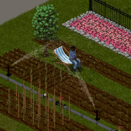 [B42] Water Pipes