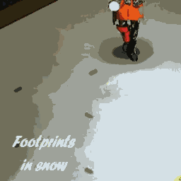 [B42+] Footprints in snow