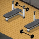 Gym Equipment