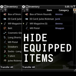 Hide Equipped Items [42.19]