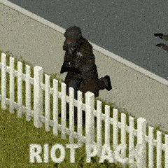 Fallout: Riot Armor Pack