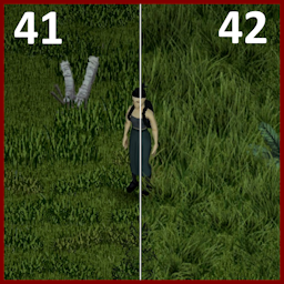CLH – Grass from 42 to 41 – and – Grass from 41 to 42