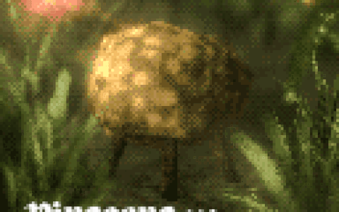 Pinecone Pig [B42]