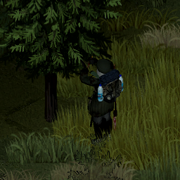 Trees Have Loot [B41 & B42]