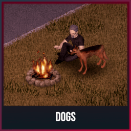 Dogs