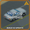 Working Seatbelt