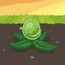 Magical Crops