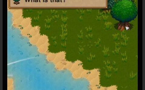 What is that? (WIT)