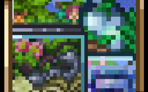 Better Terrariums