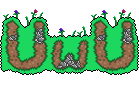 UwU