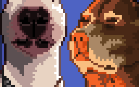 Funny Dogs Portrait Pack