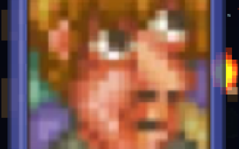 Guide Picasso NPC Portrait Painting