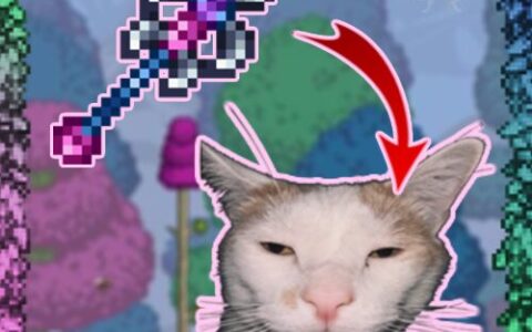 My girlfriend’s idiot ugly looking cat as the Blade Staff