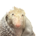 wet rat minimap