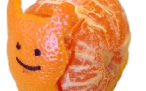 Orange Snail Pet