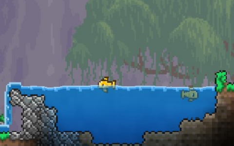 Vibrant Waters