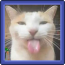 Silly Cats Portraits