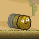 Wall-nut Rolling Cactus