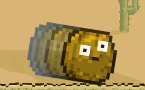 Wall-nut Rolling Cactus