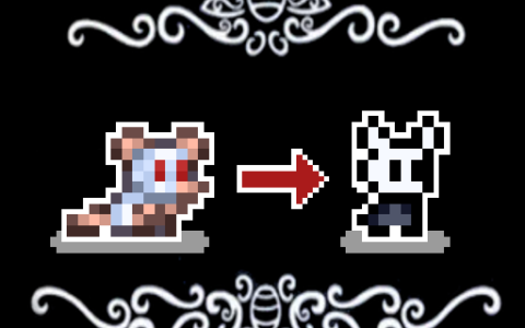 Hollow Knight Transformation