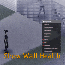 [B42.13+] Show Wall Health