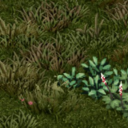 (42.12/42.13) Wilderness Zombie Spawn Tweaks