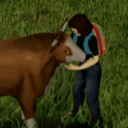 Sunshine Farm