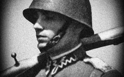 Polish Unit Model REMAKE