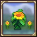 Large Herbs