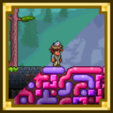 Special Seeds 1.4