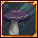 Fungal Infection