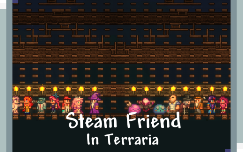 SteamFriendInTerraria
