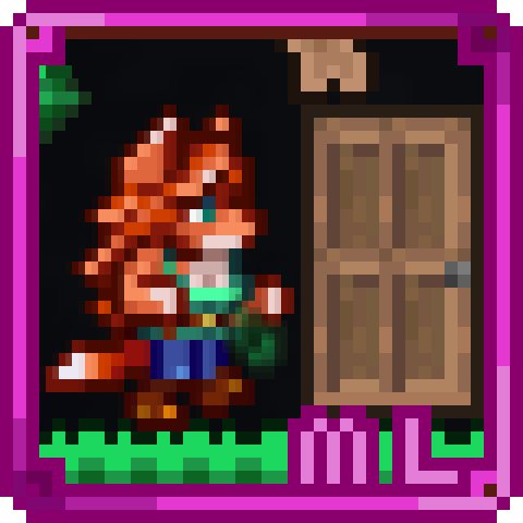 Town NPC open the door at night — screenshot 1