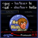 tPronouns (Player Pronouns)