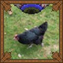 Chicken Subclass