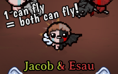 Jacob & Esau: Dual Flight