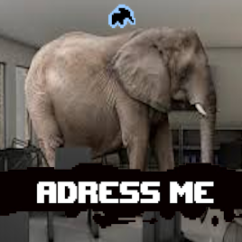 Elephant in the Room