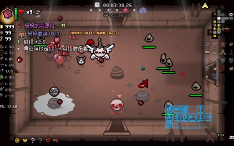 ???? / Enemy Loot Drop