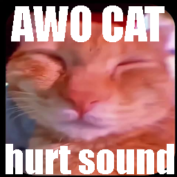 Awo cat hurt sound