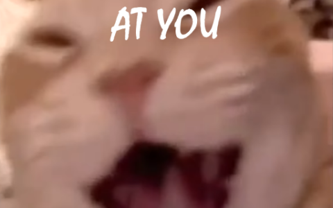 cat laughing death sound