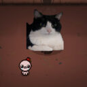 My Cat as Monstro