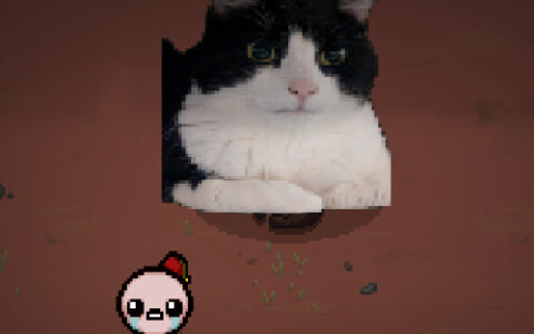 My Cat as Monstro