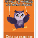 sova na skakalke