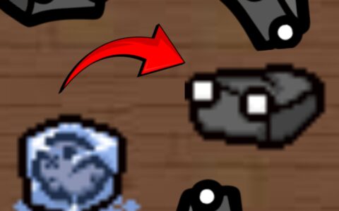 pet rock as cube baby