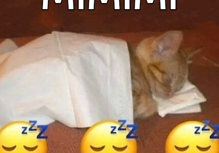 Cartoon Sleeping Sound (Mimimi)