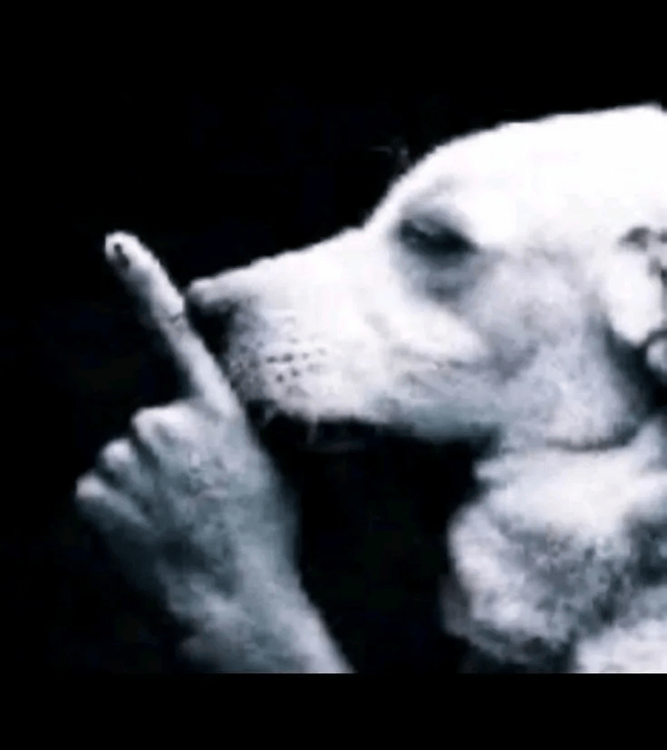 bark n fart on death — screenshot 1